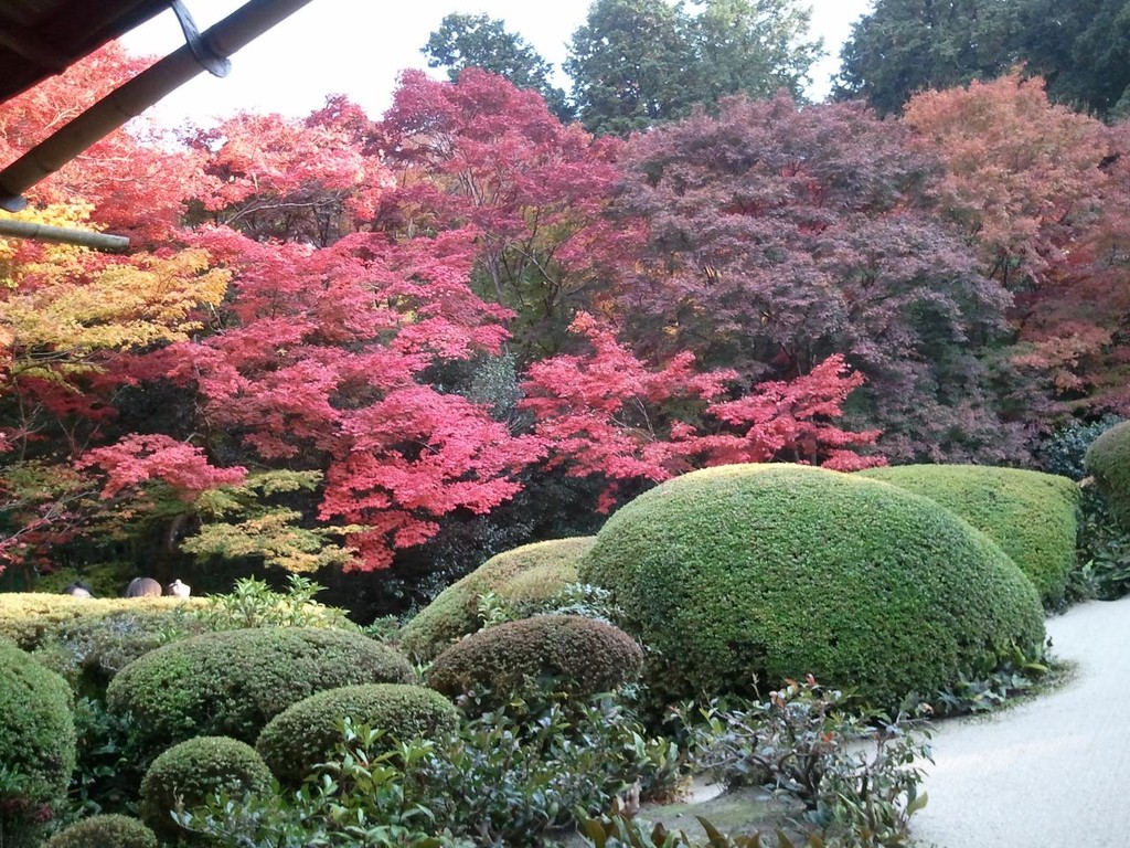 圓光寺