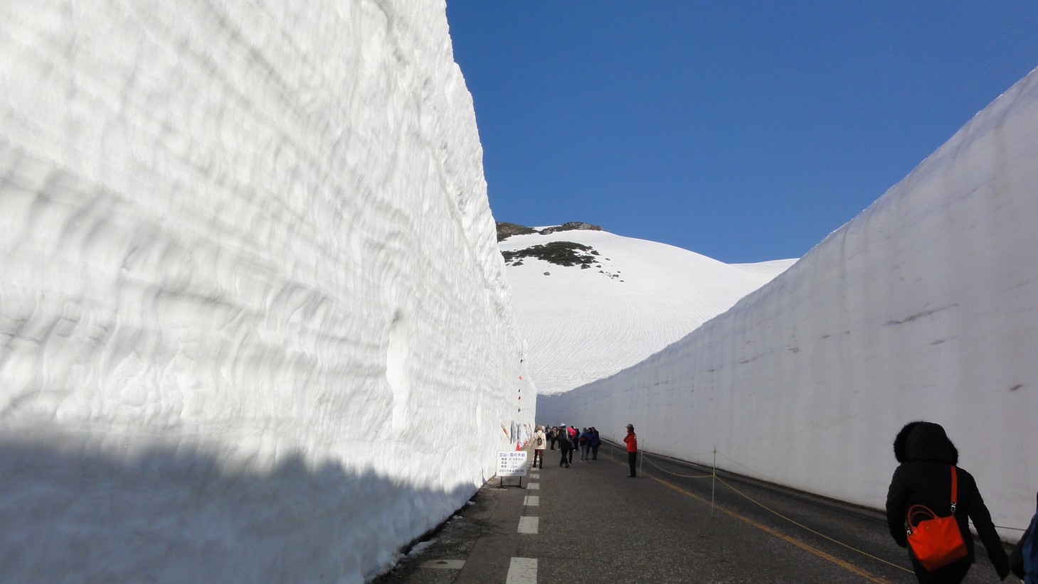 立山雪壁